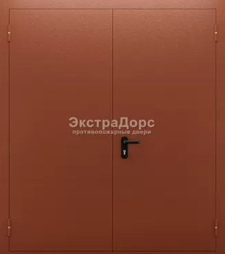 Металлическая противопожарная дверь ДМП-01-60 металлическая двупольная с огнестойкой ручкой