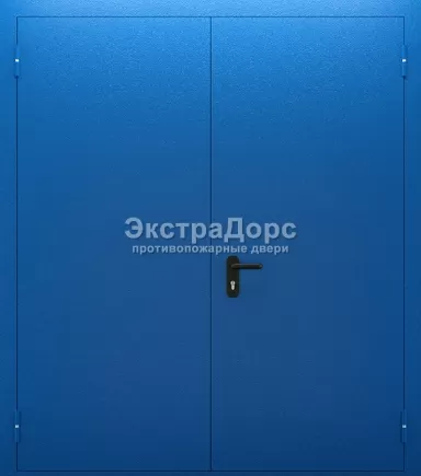 Двупольная огнестойкая дверь EI 90 ДМП-01-60 двупольная металлическая синяя