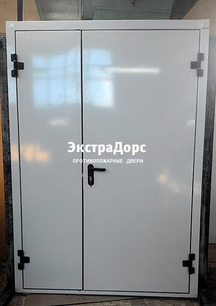 Противопожарная дверь EI 30 3 типа двупольная белая в Электростали  купить