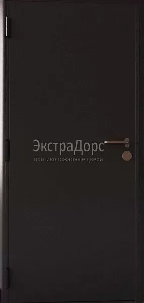 Противопожарная дверь EIW 60 глухая однопольная