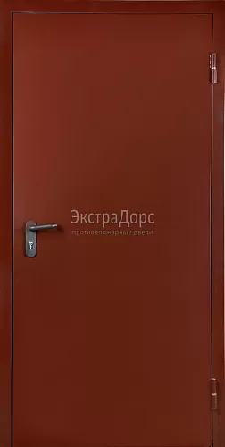 Противопожарная дверь EI 45 дымогазонепроницаемая металлическая однопольная