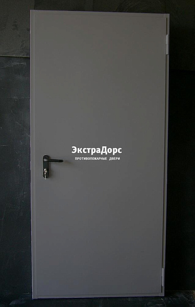 Дверь металлическая противопожарная EI 60 ДПМ 2 типа серая в Электростали  купить