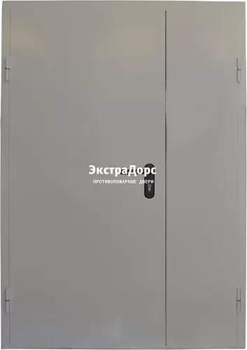 Глухая противопожарная дверь дымонепроницаемая двупольная